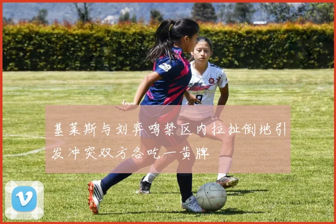 基莱斯与刘弈鸣禁区内拉扯倒地引发冲突双方各吃一黄牌